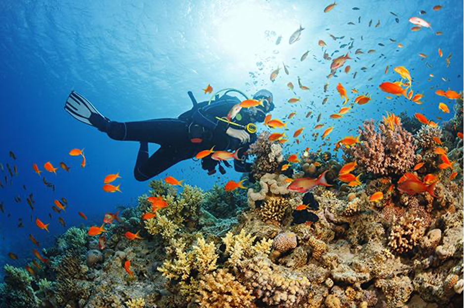 Scuba Diving Top 8 Water Activities in Kerala That You Must Try in 2021 Beautiful Global