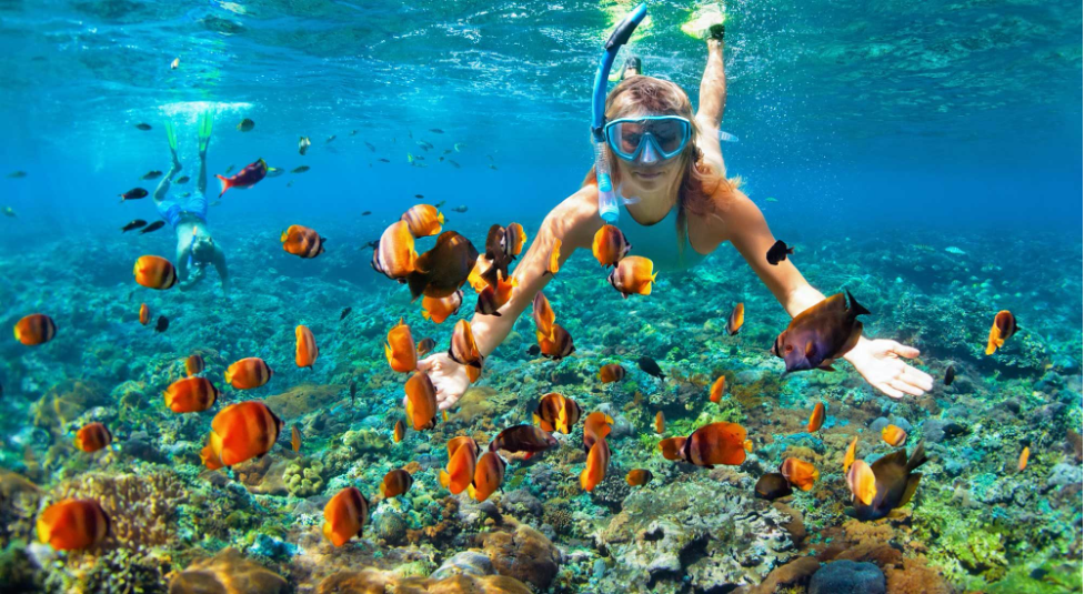 Snorkeling Top 8 Water Activities in Kerala That You Must Try in 2021 Beautiful Global