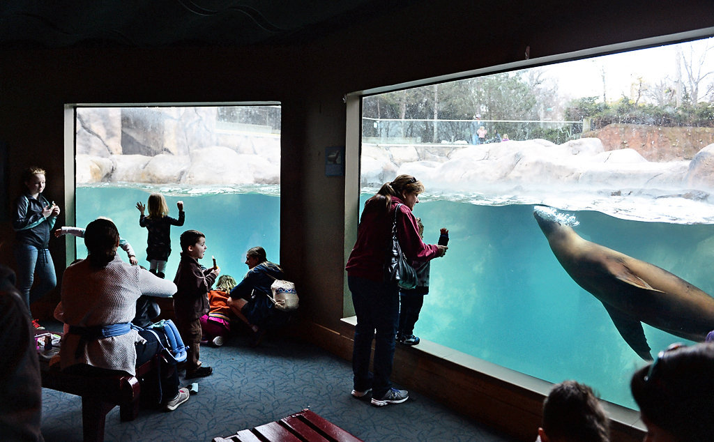 Seneca zoo Top 10 Places to Visit in Rochester NY with Kids Beautiful Global