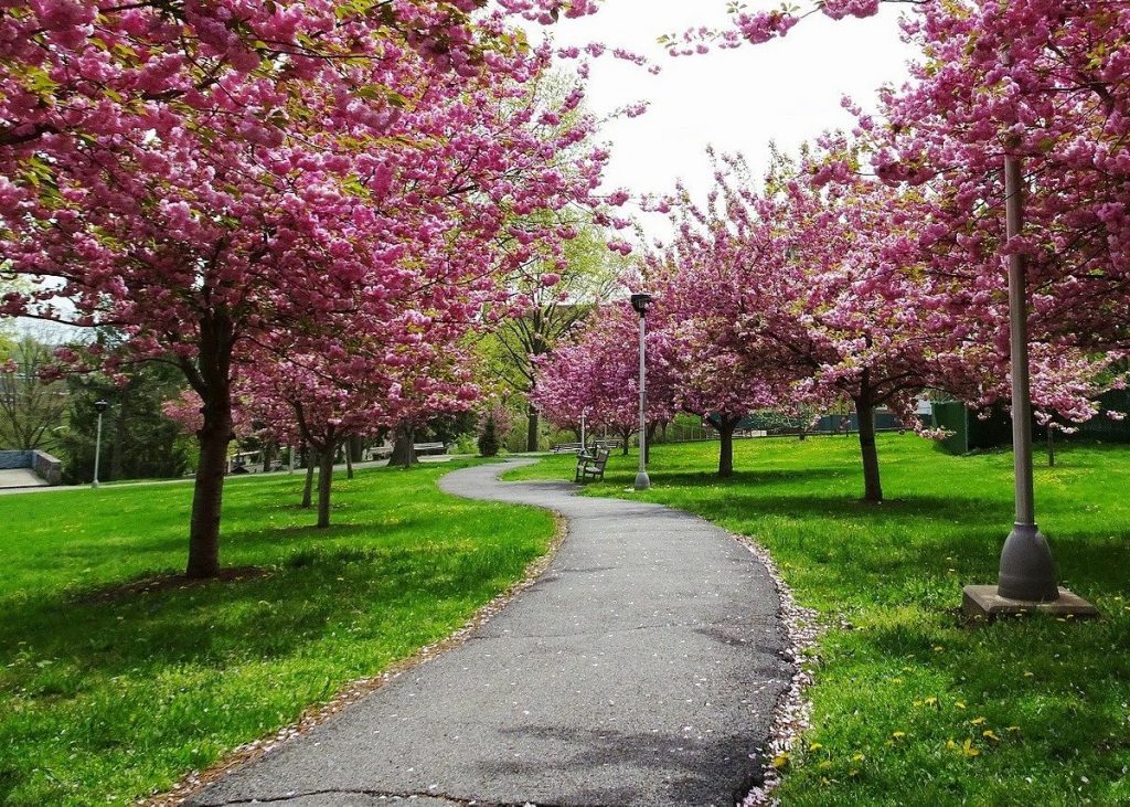 park 2 Places to Visit in White Plains NY Beautiful Global